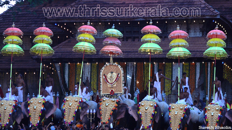 thrissur-pooram-2011- (50)